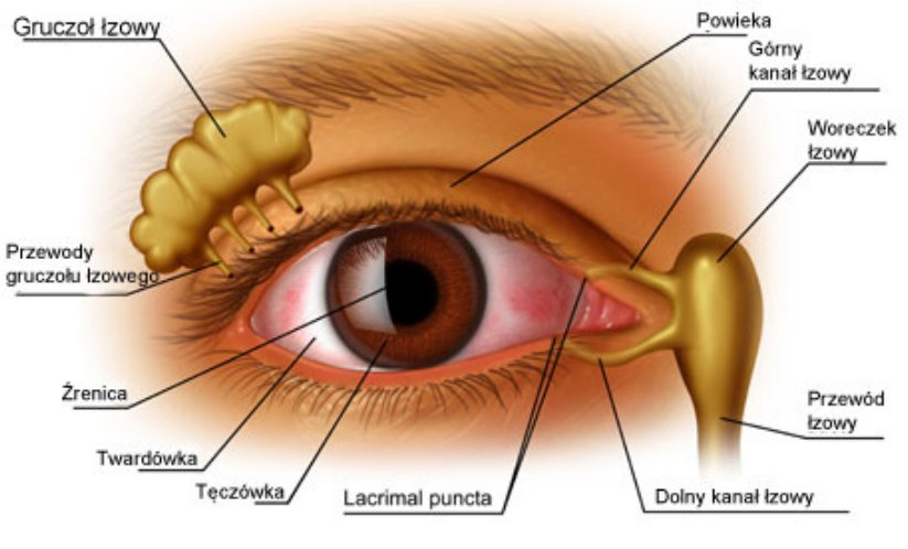 Choroby oczu